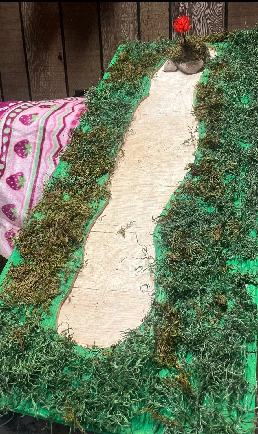 MACA